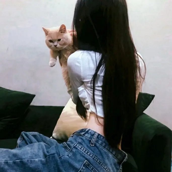 我家大师兄脑子有坑 在线观看