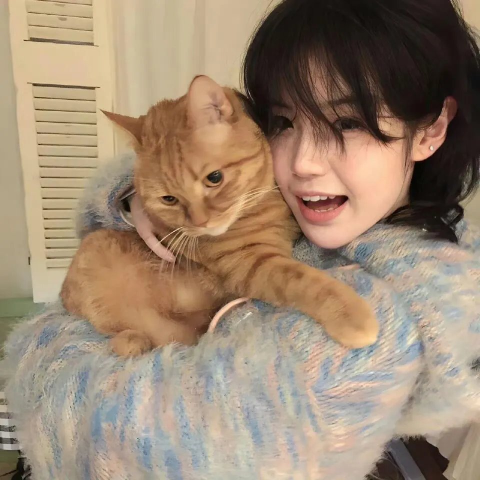 我为什么结婚了?